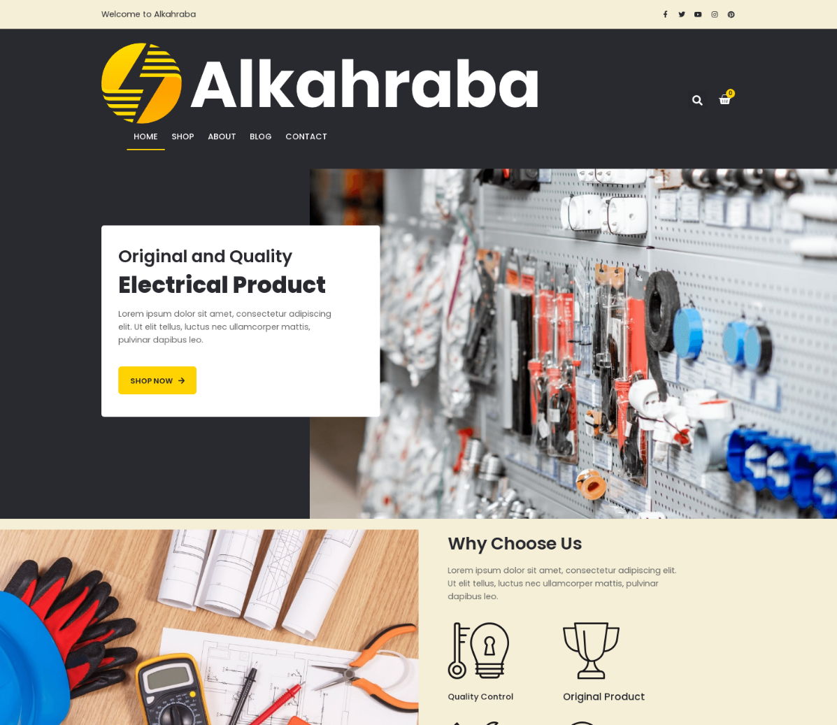 Electrical Store Website Design
